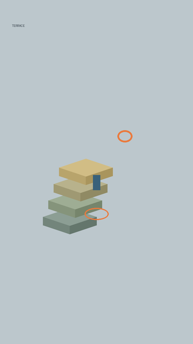The token beside the goal ring